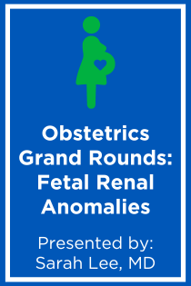 Obstetrics Grand Rounds: Fetal Renal Anomalies Banner